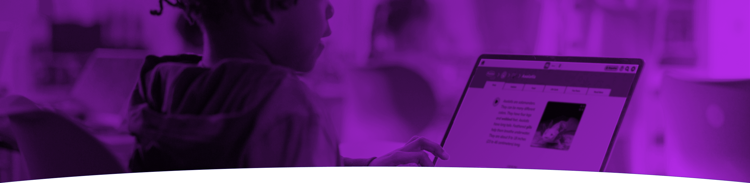 Student using PebbleGo on laptop.